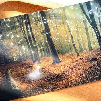 Light of Firefly Postcards Collecti..