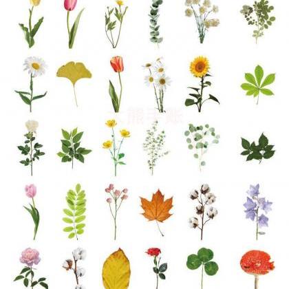 Green Plant Bookmarks Box Set 30pc | Nature..