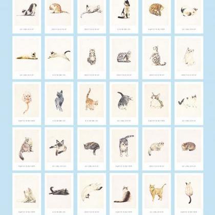 Living Like a Cat Postcards Collect..
