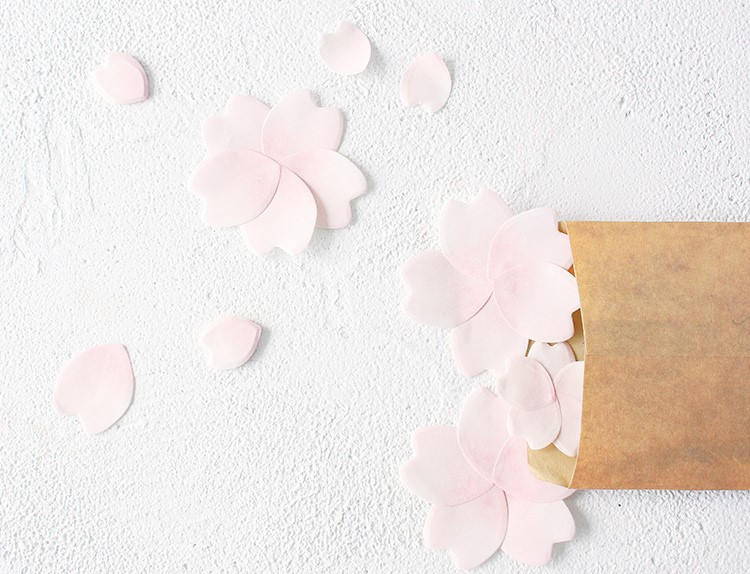 Petals Sticky Notes Collection | Colorful Dots Memo Notes | Little Dot Shaped Sticky Notes Pastel Color | Multi-color Notepad Memo Set