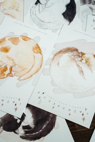 Sleepy Cat Postcards Collection (30pc) | Fat Cat Cute Card Set | Hand Drawing Cat Postcard Pack | Little Kitten Card | Kitty Memo Cards Set