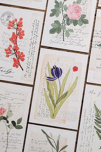 Flower Poem Post Card Collection (30pc) | Floral Post Cards Sets | Blossom Postcards | Bloom Postcards | Spring Memo Card | Flower Greeting