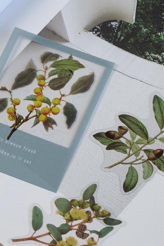 Large Plant Sticker | Colorful nature sticker | Herbs sticker | Eucalyptus leaves sticker | Color Flowers sticker | Succulent plants sticker