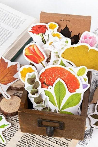 Green Plant Bookmarks Box Set 30pc | Nature Bookmarks | Seasons Bookmark | Seasonal Bookmark Collection | Herbs Bookmark | Tree Book Marker